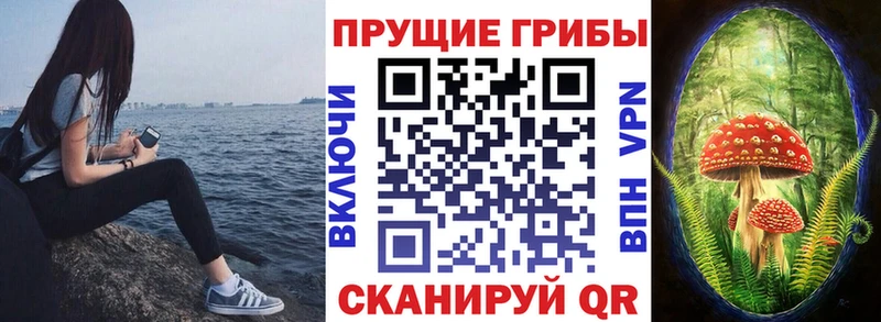 сколько стоит  Советск  Галлюциногенные грибы мицелий 