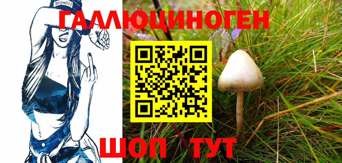 Советск  Псилоцибиновые грибы прущие грибы  Псилоцибиновые грибы Magic Shrooms  Вход с VPN 